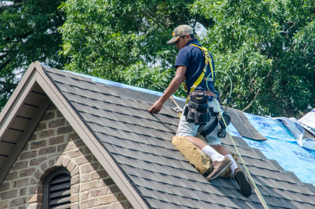 Best Roof Gutter Cleaning  in Carlyss, LA